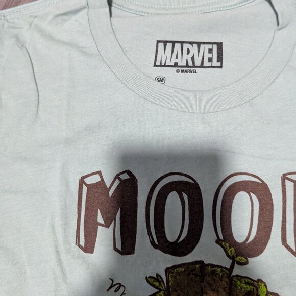 SDCC 2023 Exclusive I Am Groot T-Shirt Small — Marvel Groot Mood Tee — Rare - Picture 7 of 7